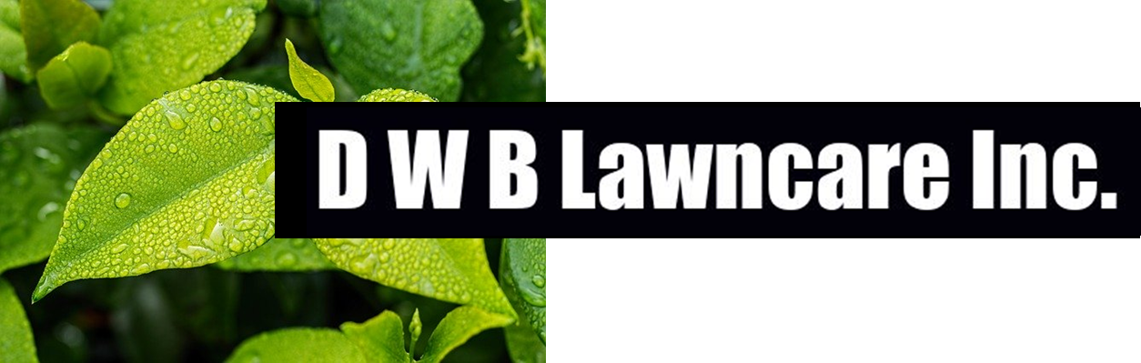 D W B Lawncare, Inc.